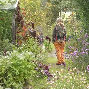 Jardin